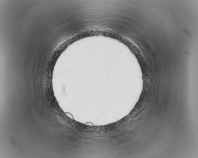 X0000110670775200907241021