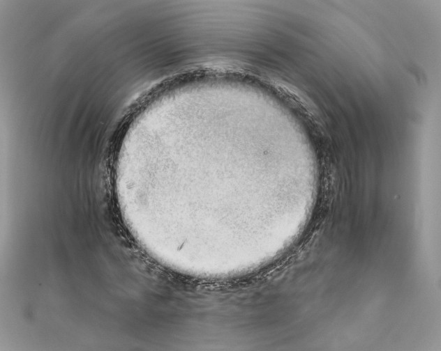X0000110670776200907241021