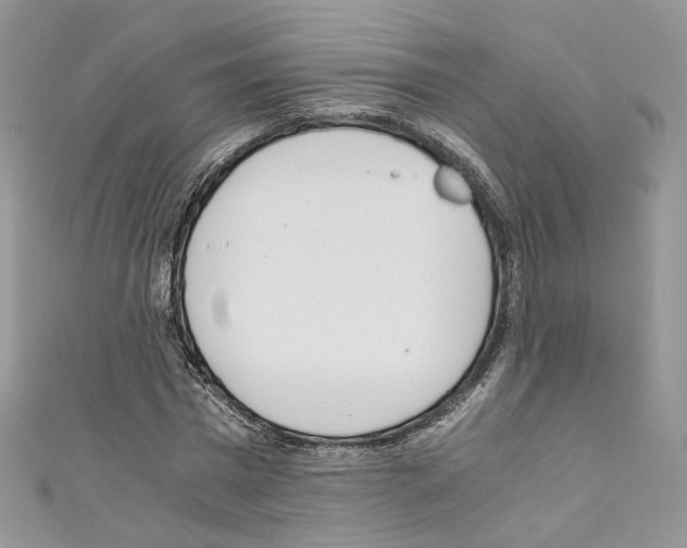 X0000110670777200907241021
