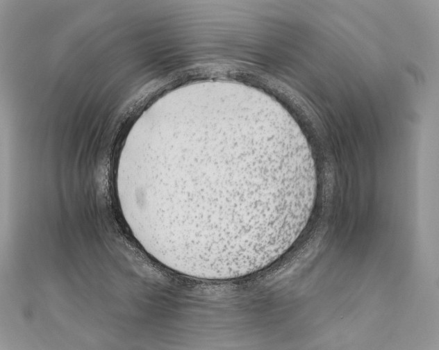 X0000110670778200907241021
