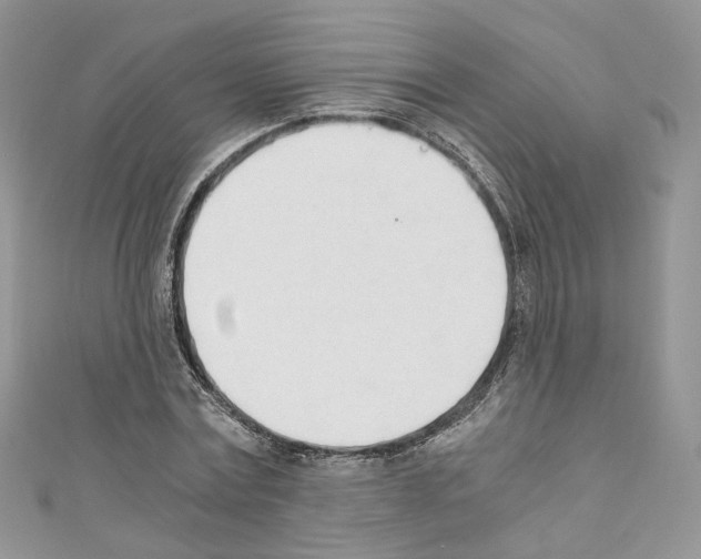 X0000110670779200907241021