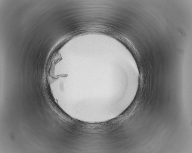 X0000110670780200907241021