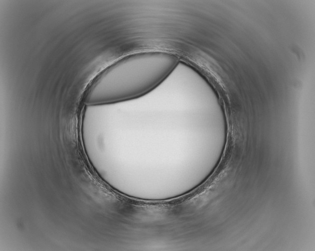 X0000110670781200907241021