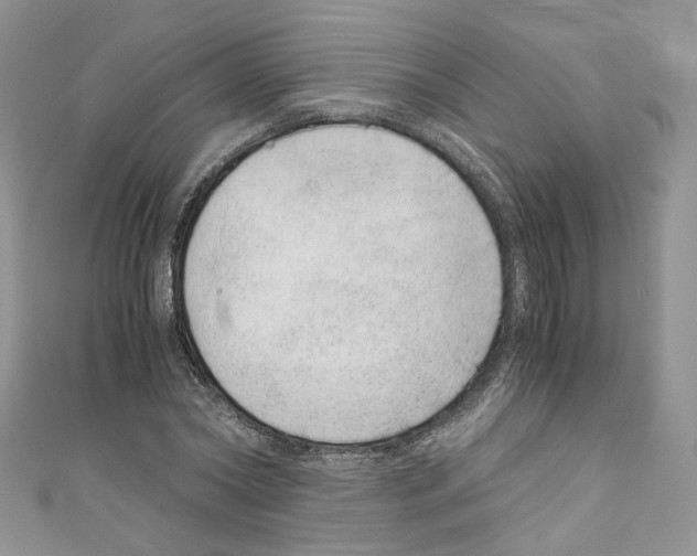 X0000110670782200907241021