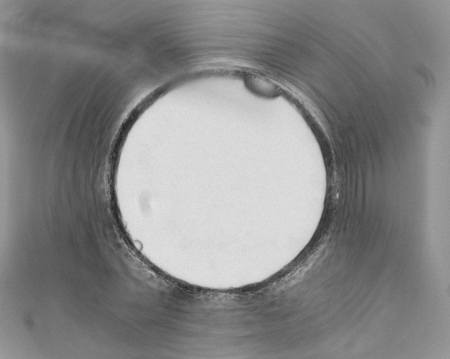 X0000110670783200907241021