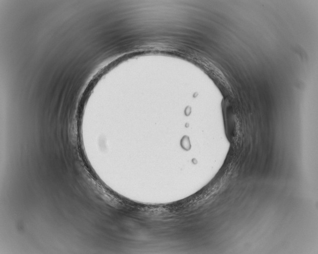 X0000110670784200907241021