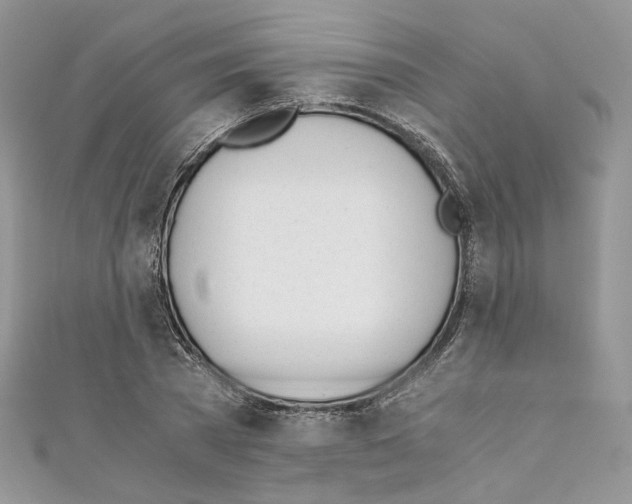 X0000110670785200907241021
