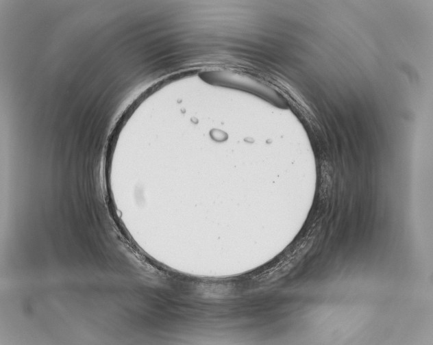 X0000110670788200907241021