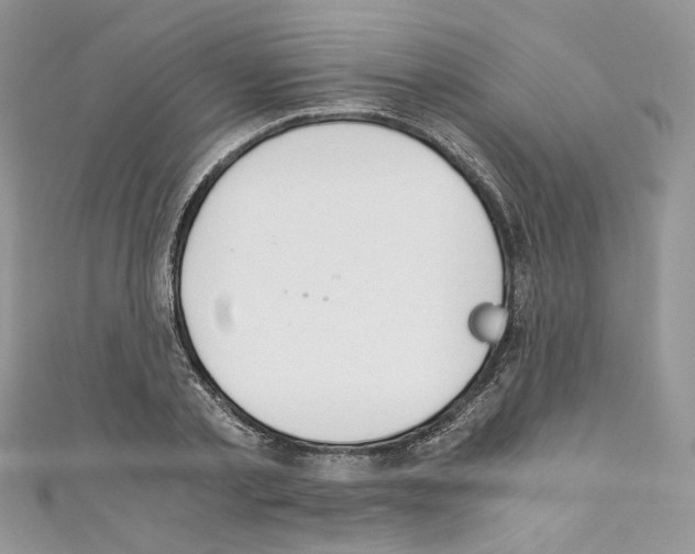 X0000110670789200907241021
