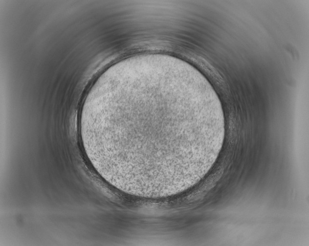 X0000110670790200907241021
