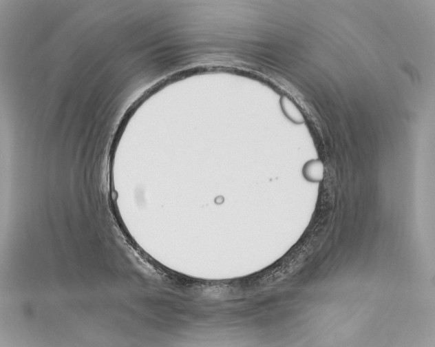 X0000110670791200907241021