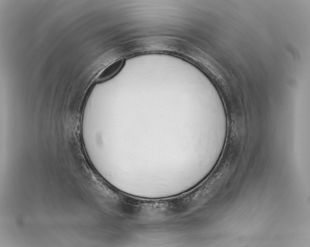 X0000110670793200907241021