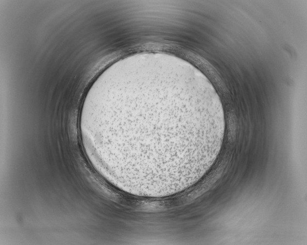 X0000110670794200907241021