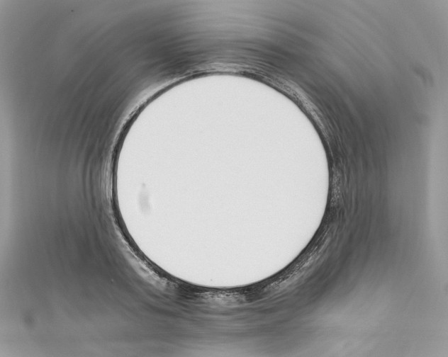 X0000110670795200907241021