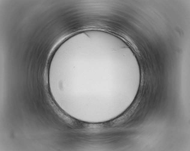 X0000110670796200907241021