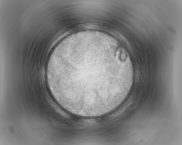 X0000110670798200907241021