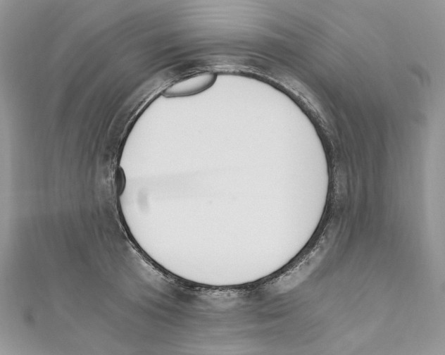X0000110670801200907241021