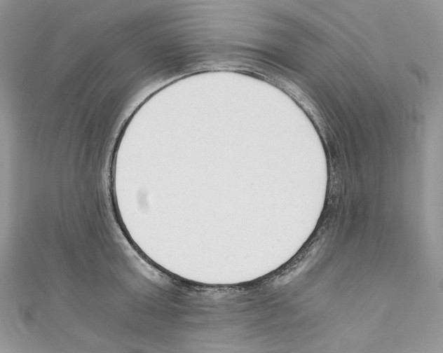 X0000110670803200907241021