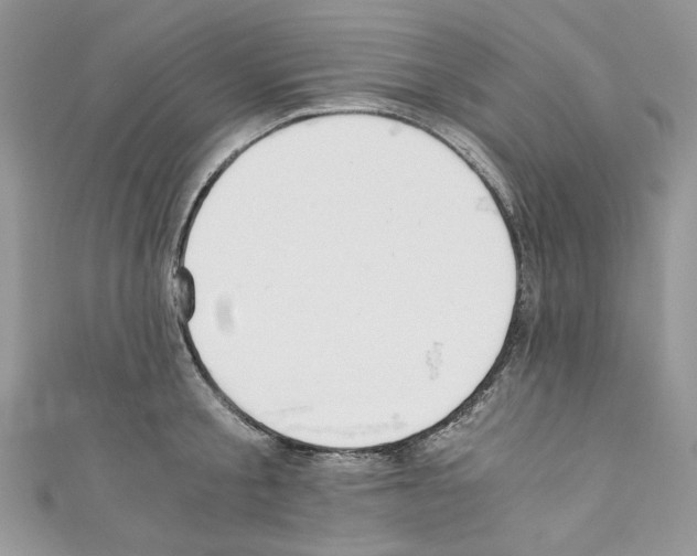 X0000110670805200907241021