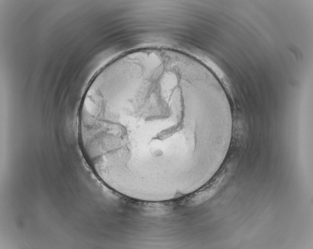 X0000110670807200907241021