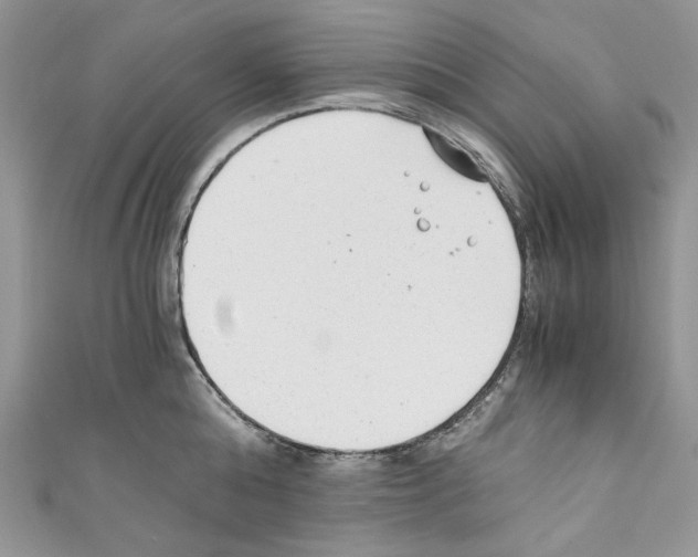 X0000110670808200907241021