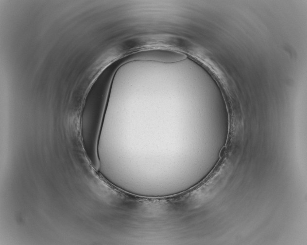 X0000110670809200907241021