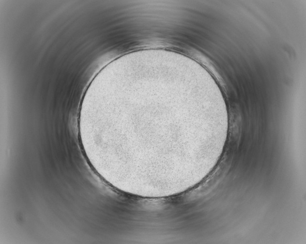 X0000110670810200907241021