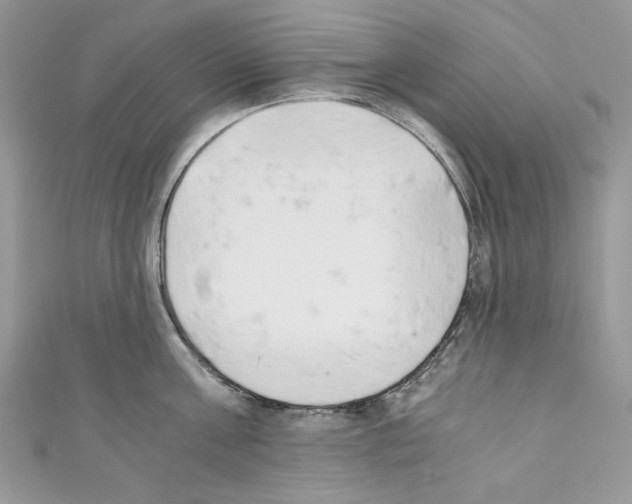 X0000110670811200907241021