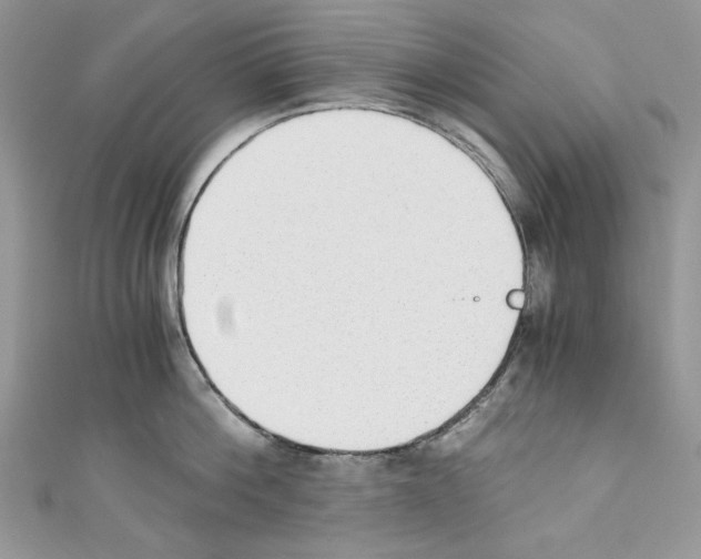 X0000110670812200907241021