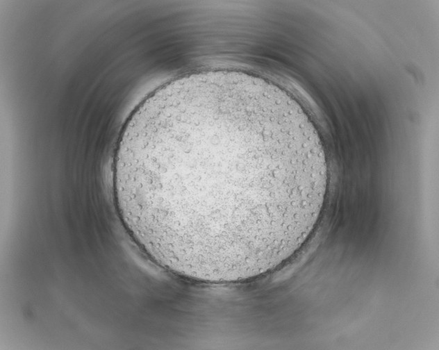 X0000110670814200907241021