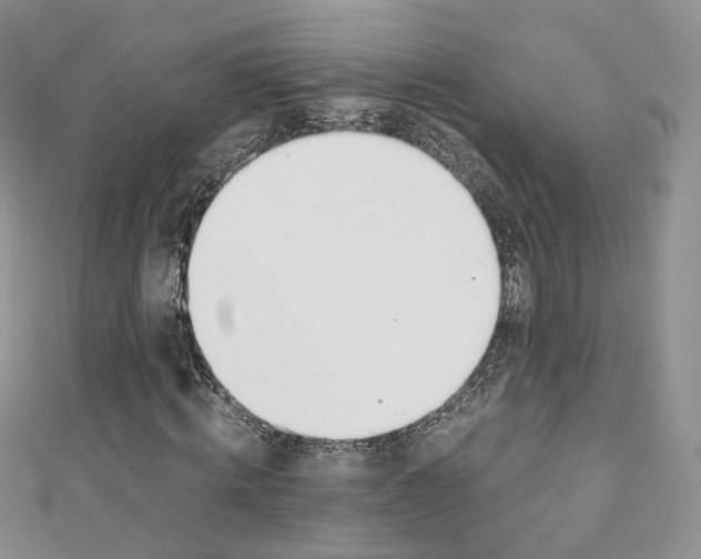 X0000110670820200907241020