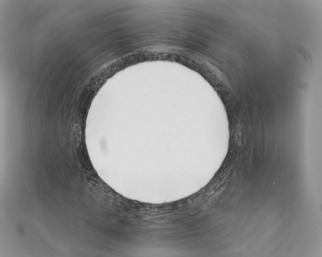 X0000110670821200907241020