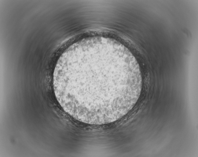 X0000110670822200907241020