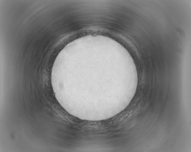 X0000110670823200907241020