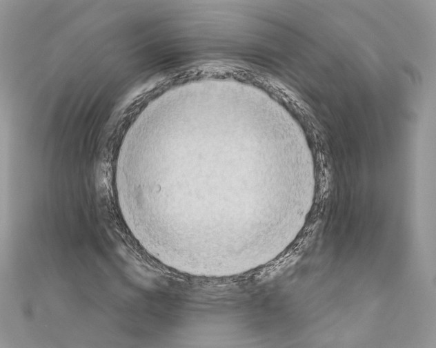 X0000110670824200907241020