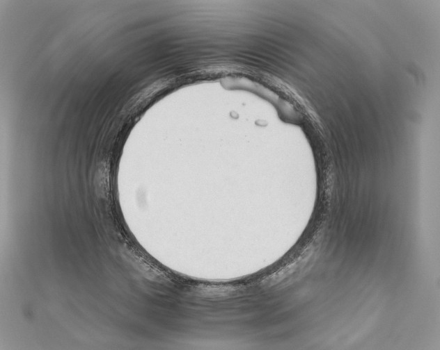 X0000110670825200907241020