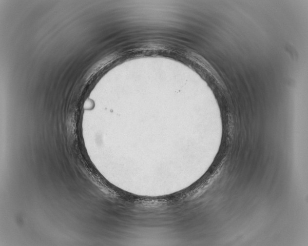 X0000110670826200907241020