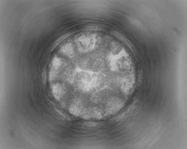 X0000110670829200907241020