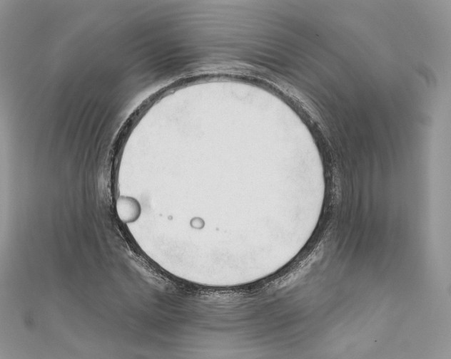 X0000110670830200907241020
