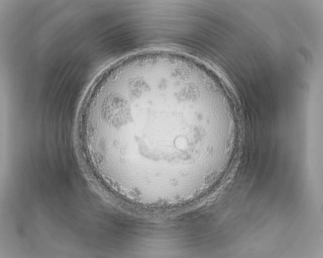 X0000110670832200907241020