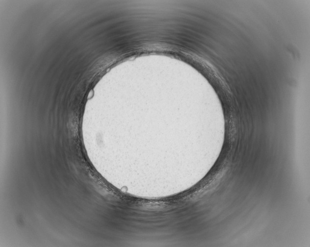 X0000110670833200907241020