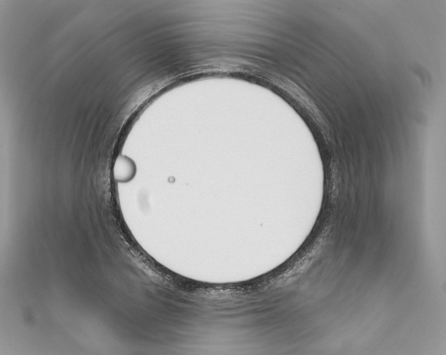 X0000110670834200907241020