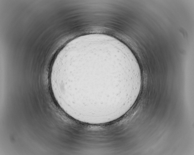 X0000110670835200907241020