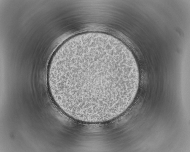 X0000110670836200907241021