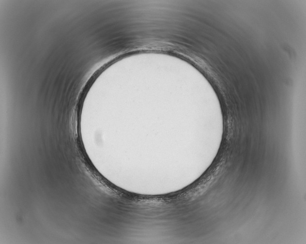 X0000110670838200907241021