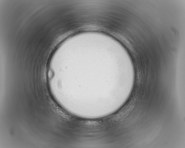 X0000110670839200907241021