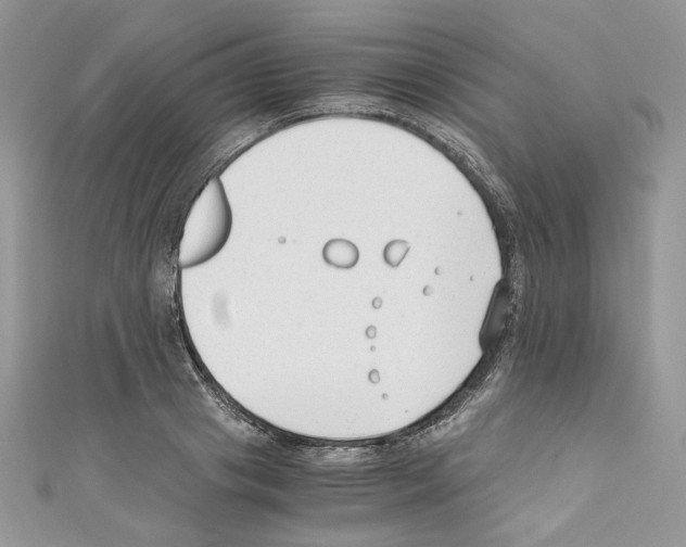 X0000110670841200907241021
