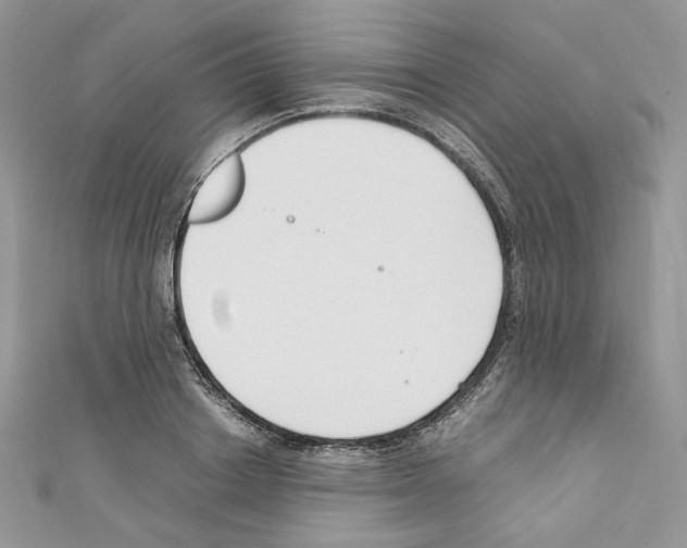 X0000110670842200907241021