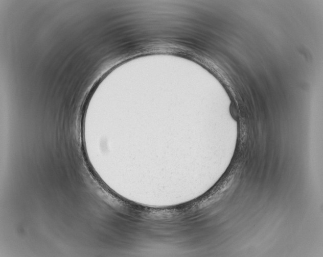 X0000110670843200907241021