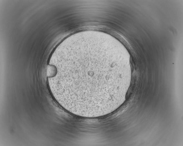 X0000110670844200907241021
